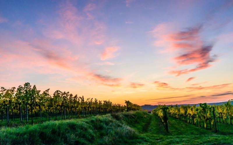 Das Kamptal in Österreich